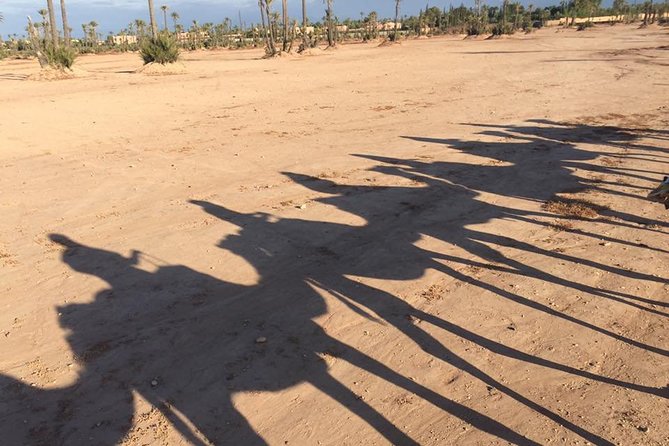 Sunset Camel Ride in the Palm Grove of Marrakech - Who This Tour Suits Best