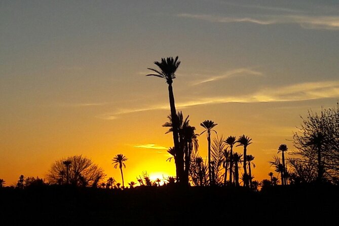 Sunset Camel Ride in the Palm Grove Of Marrakech - Hotel pickup to Palmeraie, and what “small group” feels like