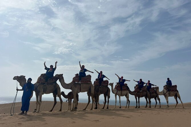 Sunset Camel Ride tour with Barbecue dinner in the beach - Key things that make this tour work