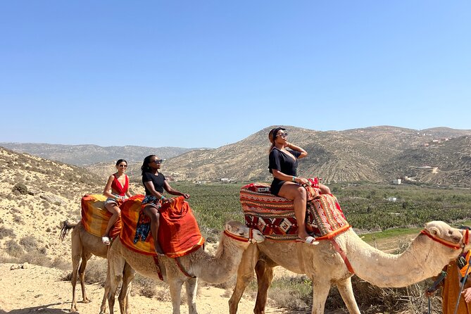 Sunset Camel Ride tour with Barbecue dinner in the beach - Sunset Camel Ride and Beach BBQ: the vibe you’re really buying
