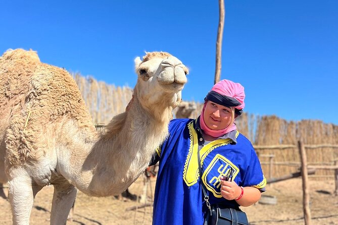 Sunset Camel Ride tour with Barbecue dinner in the beach - Why the timing matters: golden hour photos without feeling rushed