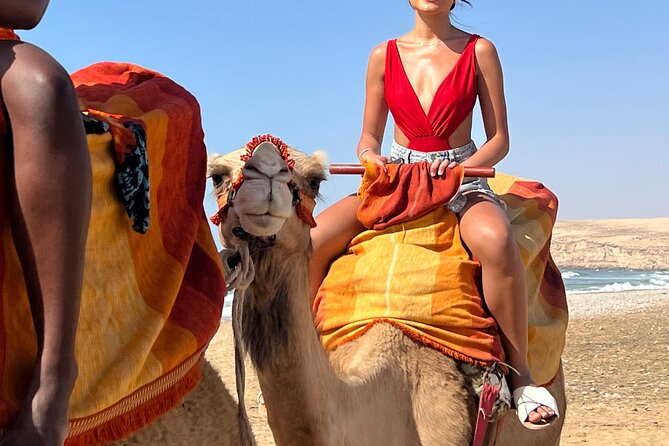 Sunset Camel Ride tour with Barbecue dinner in the beach - Value check: is $69.69 worth it?