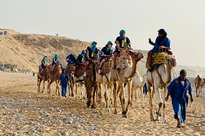 Sunset Camel Ride tour with Barbecue dinner in the beach - Staff and group energy: why people keep recommending it