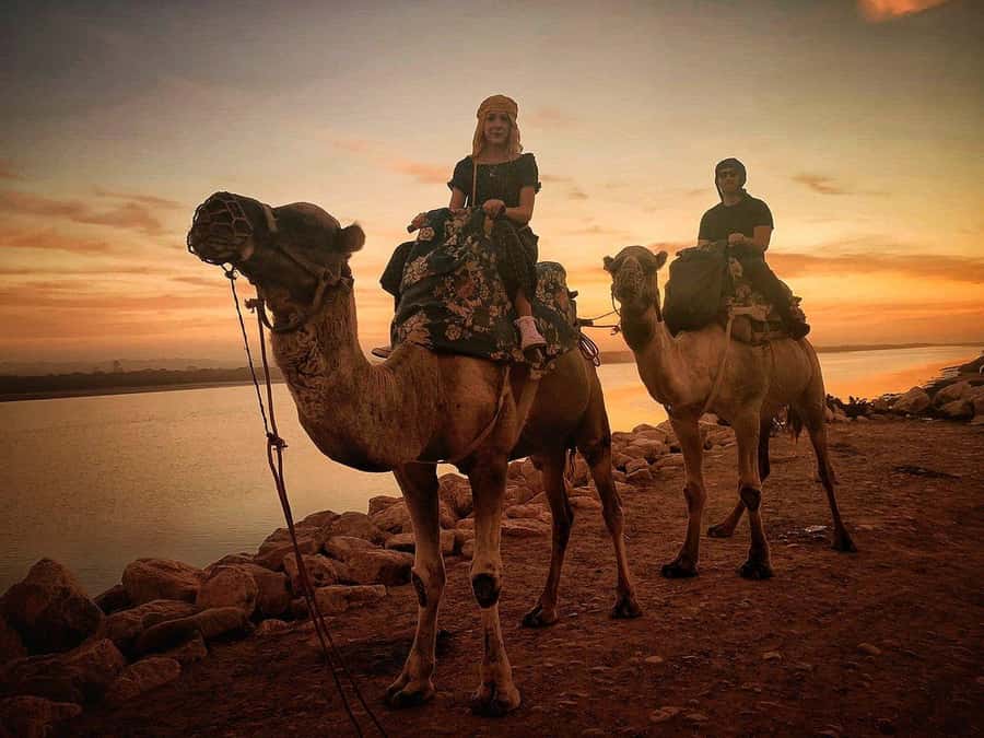 Sunset Camel Riding Including BBQ Dinner & Hotel Transfers - Key points before you go