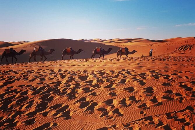 Sunset in Merzouga Sahara Desert & Camel Ride Erg Chebbi Dunes - Sandboarding Included: The Fun Add-On That Changes How You Remember the Dunes