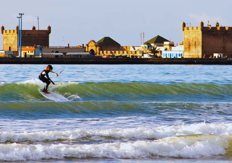Surf Training and Lunch on Essaouira Day Trip from Marrakech - Your Surf Lesson: Equipment, Safety, and What to Expect in the Water