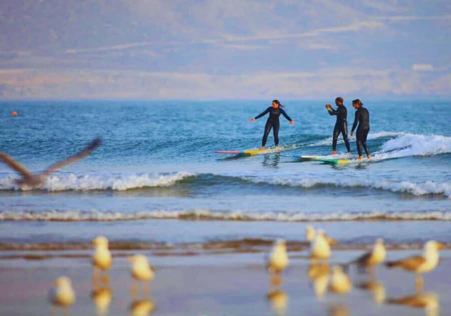 Surf Training and Lunch on Essaouira Day Trip from Marrakech - UNESCO Medina Walk: Blue and White Alleys, Markets, and Portuguese Details