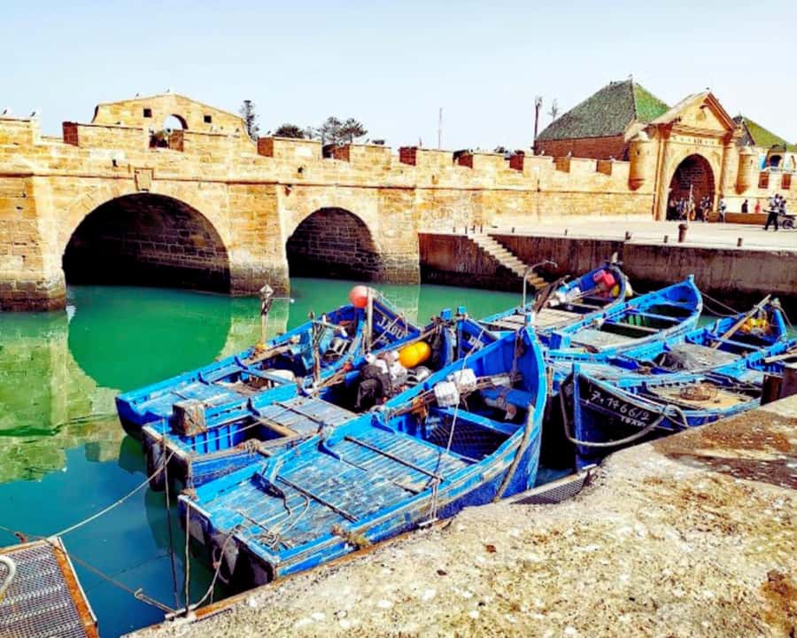 Surf Training and Lunch on Essaouira Day Trip from Marrakech - Who Should Book This Essaouira Day Trip Surf Combo