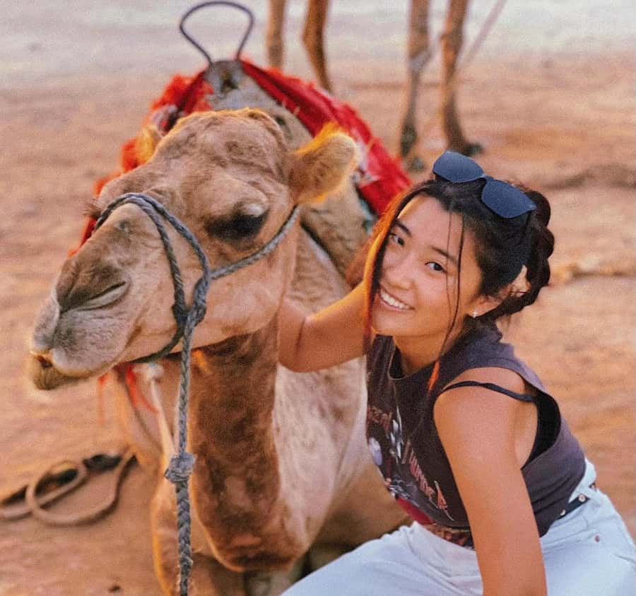 Tangier: Achakar Beach Sunset Camel Ride & Moroccan Dinner - Key points before you go