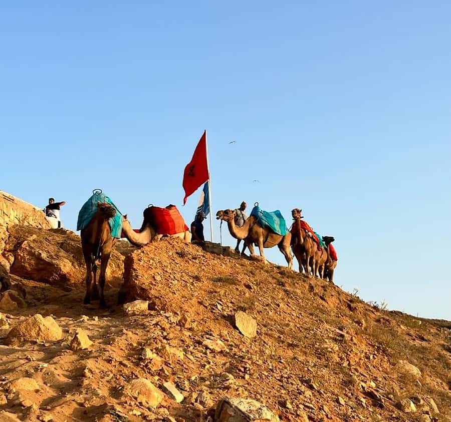 Tangier: Achakar Beach Sunset Camel Ride & Moroccan Dinner - Tangier at golden hour, built around the coast