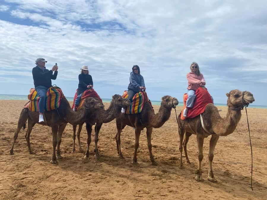 Tangier: Cap Spartel, Hercules Caves & Camel Riding - Return to Tangier: When the Trip Ends on a High
