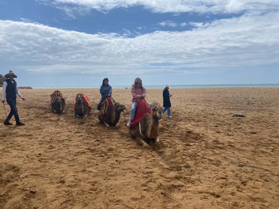 Tangier: Cap Spartel, Hercules Caves & Camel Riding - Who This Tour Suits (and Who Should Rethink the Camel Part)