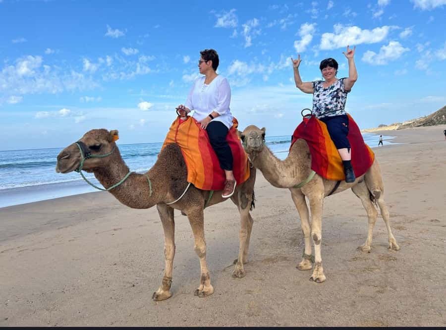 Tangier: Full-Day Private Sightseeing Tour with Camel Ride - A 7-hour Tangier plan that actually feels doable