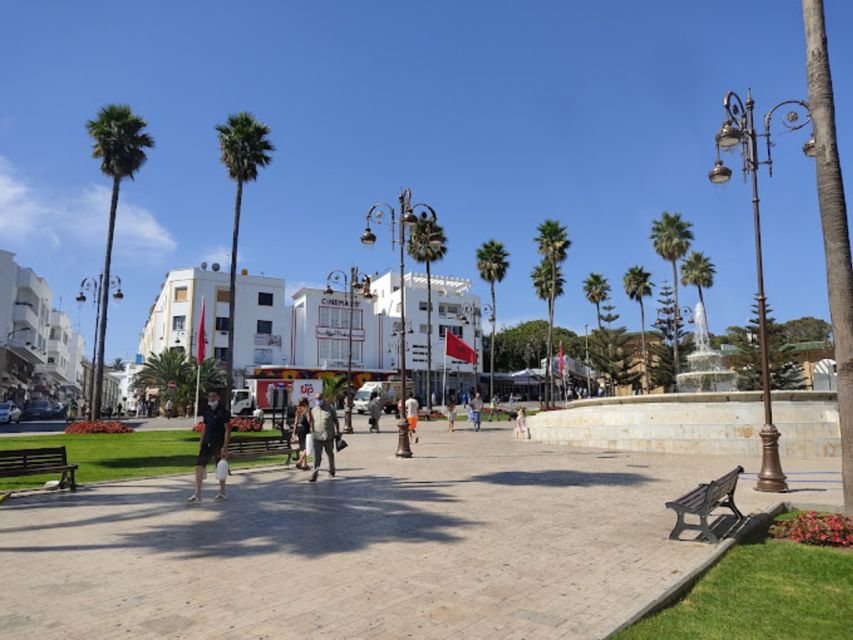 Tangier Half-Day Guided City Tour - Who this Tangier half-day tour is best for