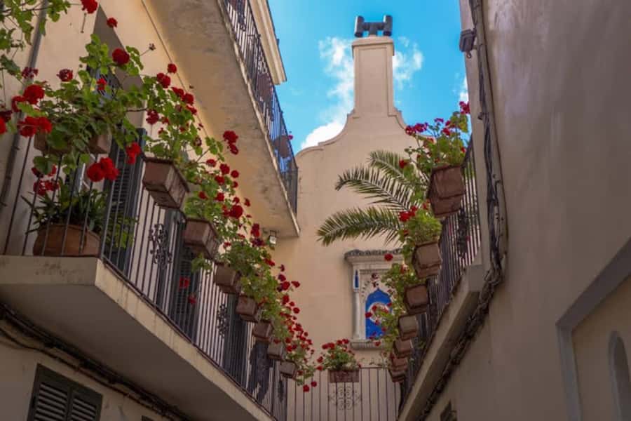 Tangier Half-Day Guided City Tour - Timing, walking effort, and what you might miss with 4 hours