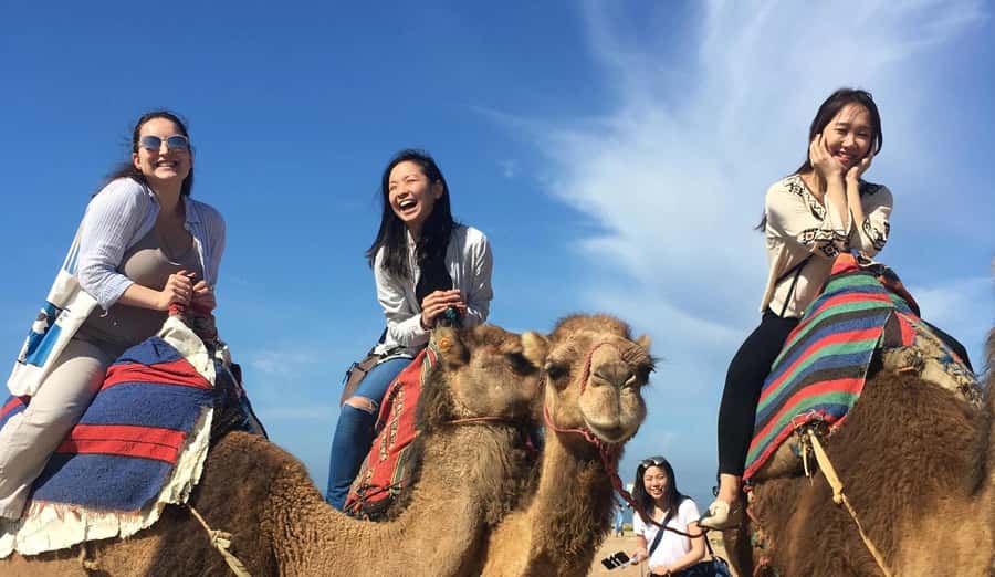 Tangier Private Half-Day Tour + Camel Ride + Add-on: Lunch - Key highlights worth planning for