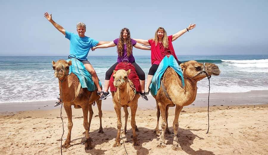 Tangier Private Half-Day Tour + Camel Ride + Add-on: Lunch - Medina walking: where Tangier’s everyday life shows up