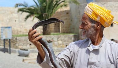 Tangier Private Half-Day Tour + Camel Ride + Add-on: Lunch