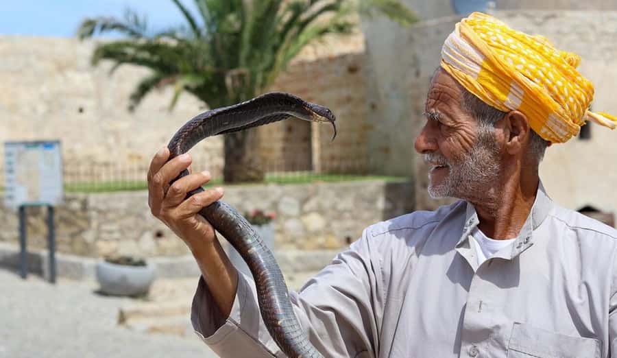 Tangier Private Half-Day Tour + Camel Ride + Add-on: Lunch - Pickup and getting oriented fast in Tangier