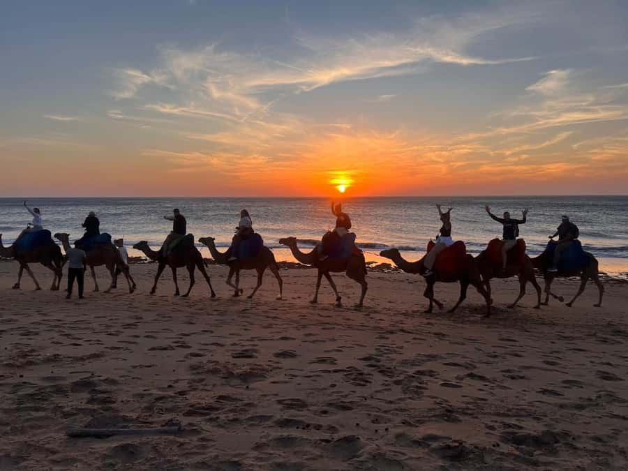 Tangier: Sunset, Tea, Sweets, Camel Ride, and Hercules Caves - Who This Tour Fits Best (And Who Should Rethink It)