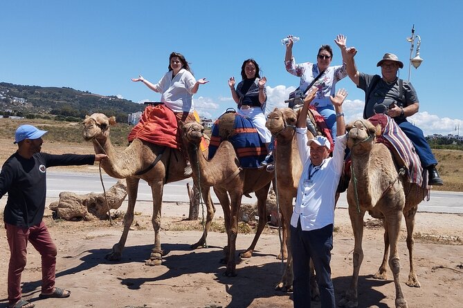 Tangier Tour Visit Caves, Kasbah, Medina & Berber Markets - Tangier’s morning plan: what this half-day to 6-hour tour feels like