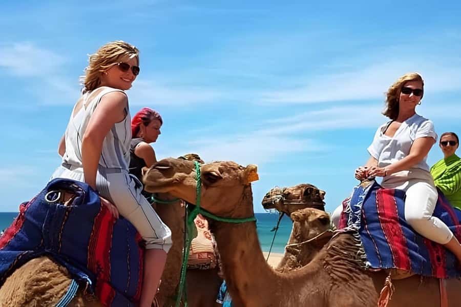 Tarifa/Algeciras: Tangier Private Day Tour with Ferry Ticket - What You Really Get from a Private Guide (and Why It Shows)