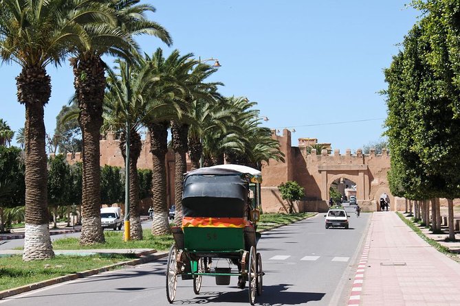 Taroudant and Tiout Day Trip From Agadir With Lunch - Price and what you really get for $46.74