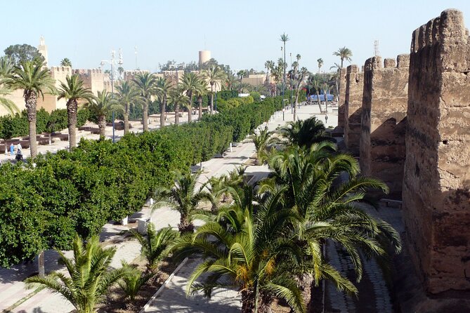 Taroudant and Tiout Day Trip From Agadir With Lunch - Tiout oasis and kasbah: where the scenery and photos finally pay off