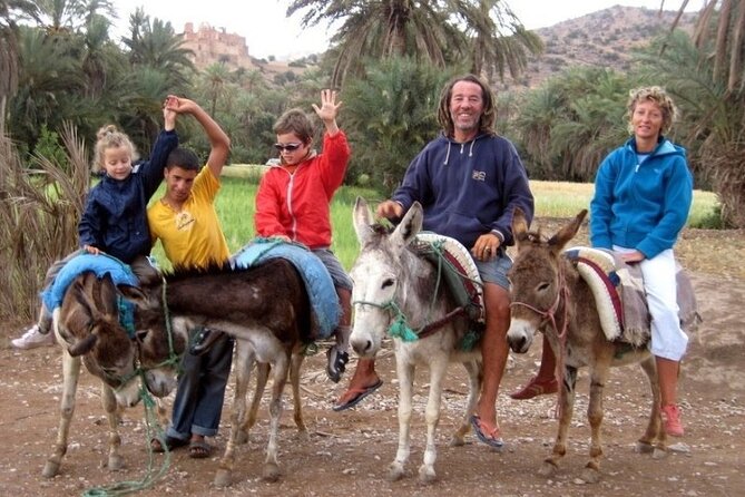 Taroudant and Tiout Oasis Guided Day Trip with Lunch - Sunday Souk: spices, stalls, and local shopping momentum