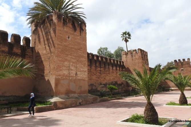 Taroudant and Tiout Oasis Guided Day Trip with Lunch - Getting started: pickup from Agadir or the cruise port at 8:30 am