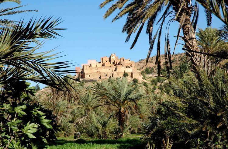 Taroudant and Tiout Oasis Trip With Lunch - Route on the way back: 16th-century Berber towns and a slower unwind