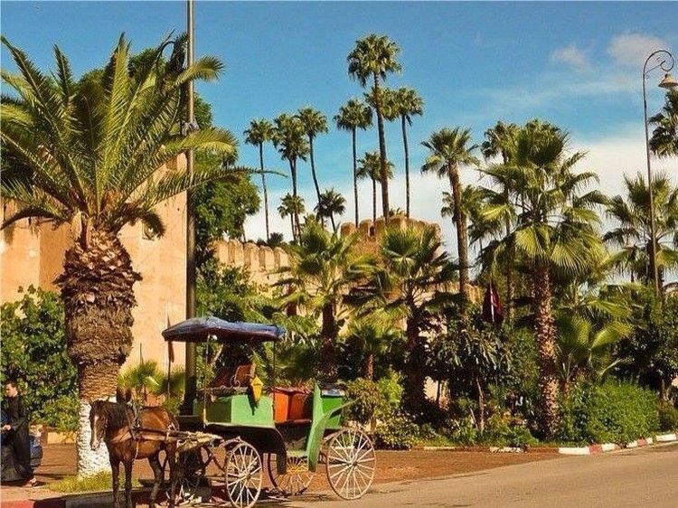 Taroudant and Tiout Oasis Trip With Lunch - The Craft Bazaar and the Art of Shopping for Berber carpets and silver