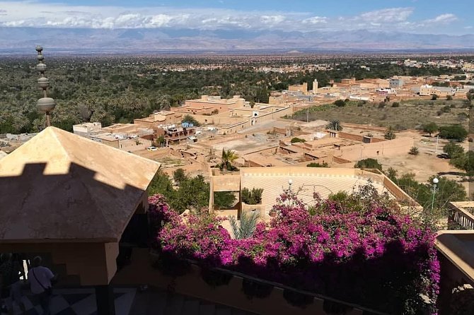 Taroudant the berber city +The Oasis of Tiout village - What to bring for a smooth medina and oasis day