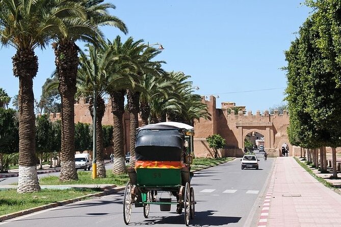 Taroudant & Tiout Day Trip Tour - Start in Agadir, then the goats for quick laughs