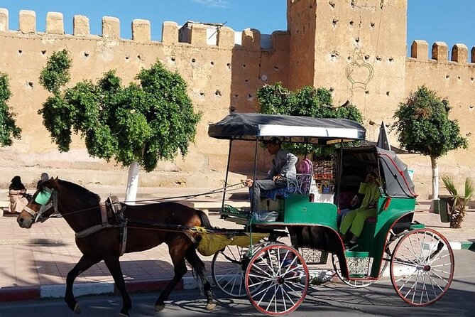 Taroudant & Tiout Day Trip Tour - Tiout Oasis at the foot of the Anti-Atlas