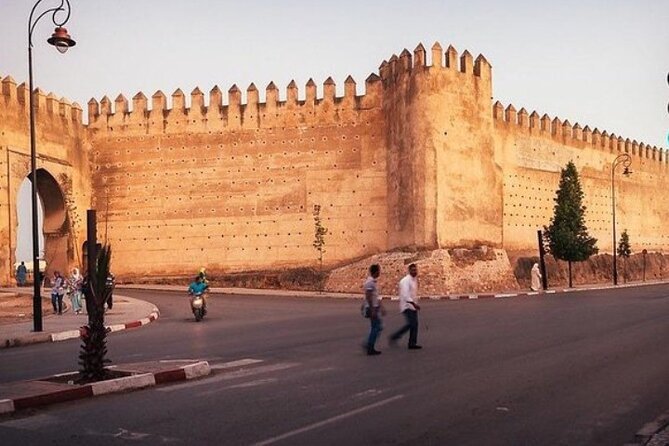 Taroudant & Tiout Day Trip Tour - Photos that actually make sense: goats to kasbah views