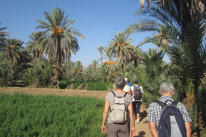 Taroudant & Tiout Day Trip Tour - Logistics that affect your comfort (and your schedule)