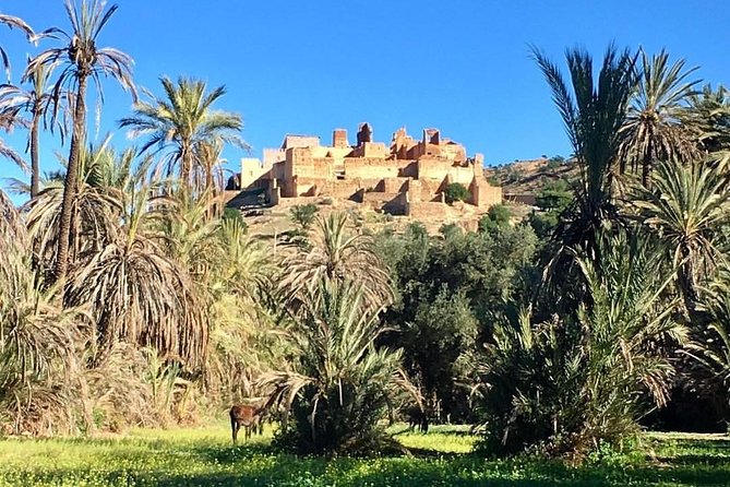 Taroudant Tiout with meal 1 day - Lunch Included, Drinks Extra: How to Eat Smart