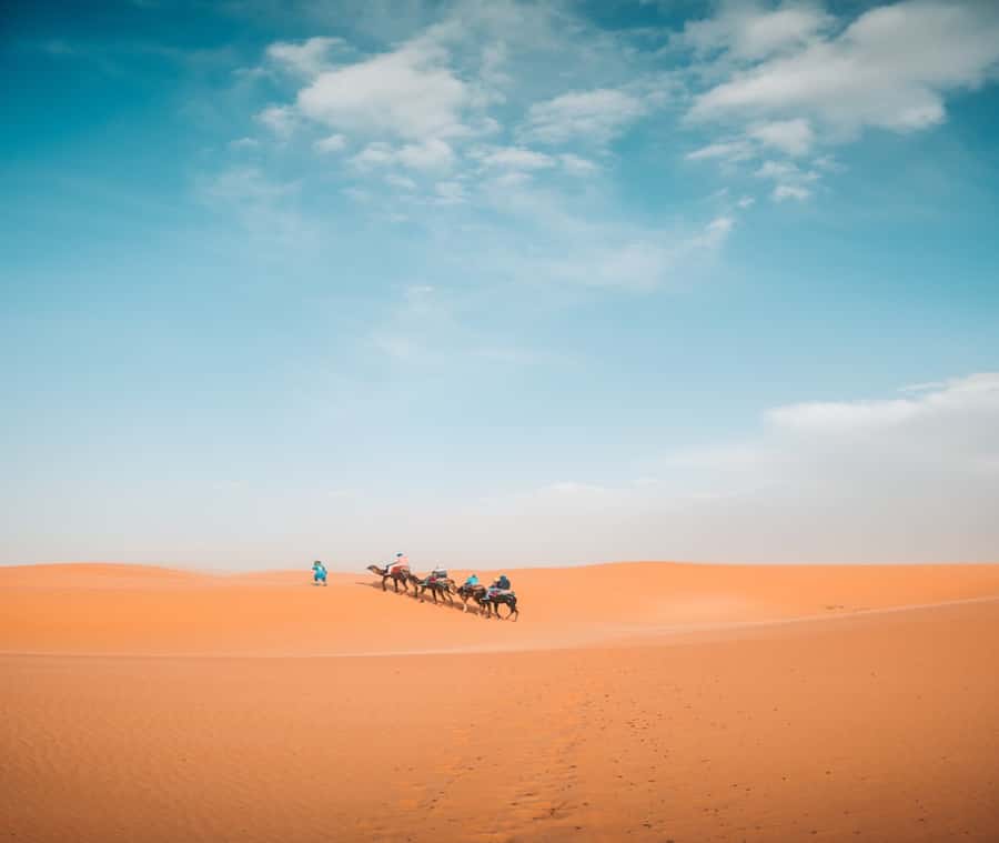 the luxury 2days 1night desert tour from fez to fez/marakech - Key Things That Make This Tour Worth Your Time