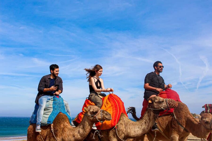The North of Morocco in 3 Days ; Including Fes - Key highlights worth getting excited about