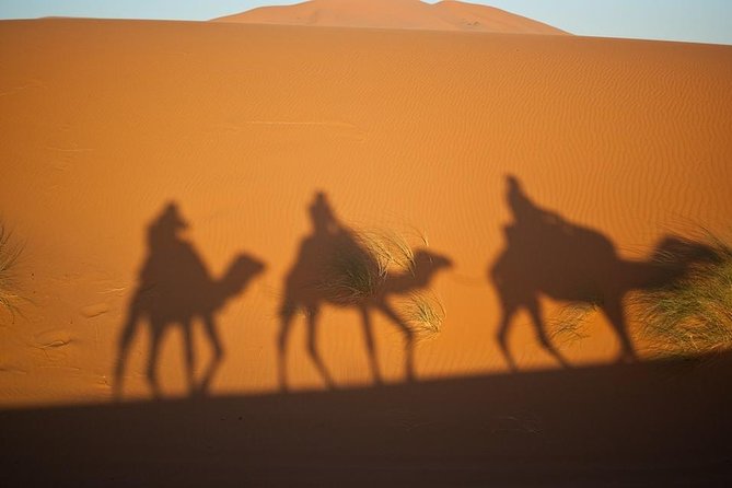 The Private 2 days Desert Tour Fez To Merzouga - Private Fez to Merzouga: what you really gain