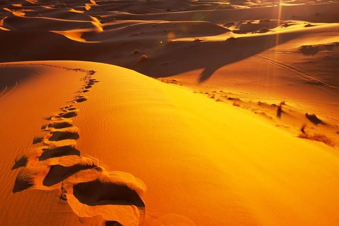 The Private 2 days Desert Tour Fez To Merzouga - Camel trekking timing: sunset one night, sunrise the next