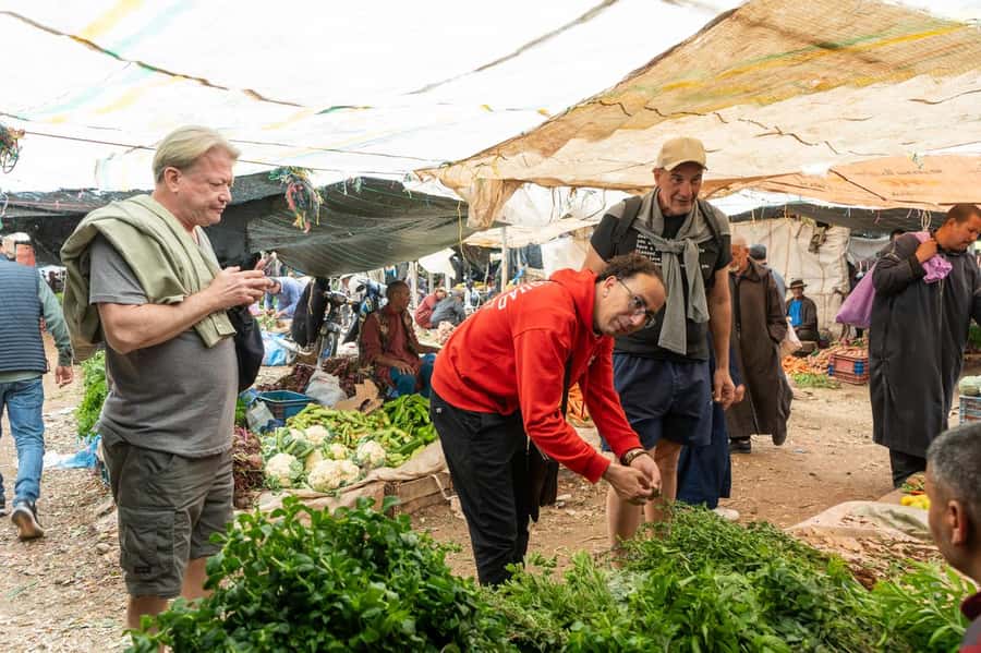Three valleys, Atlas Mountain, waterfalls & Agafay Desert - Price and value: how $9 holds up when you price the day by parts