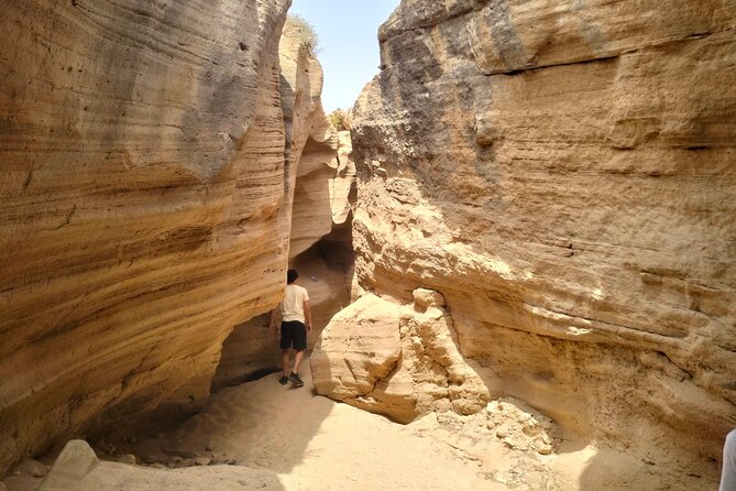 Timlalin Dunes Desert Sunset Tour From Agadir or Taghazout - Weather Dependence: When the Desert Plan Changes