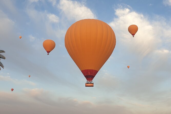 Top vip one hour private flight royal breakfast on board - After landing: the palm grove and the free camel ride