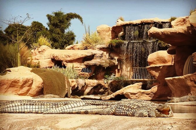 Trip To Croco Park - The Crocoparc Visit: How to Use Your Time Inside the Park