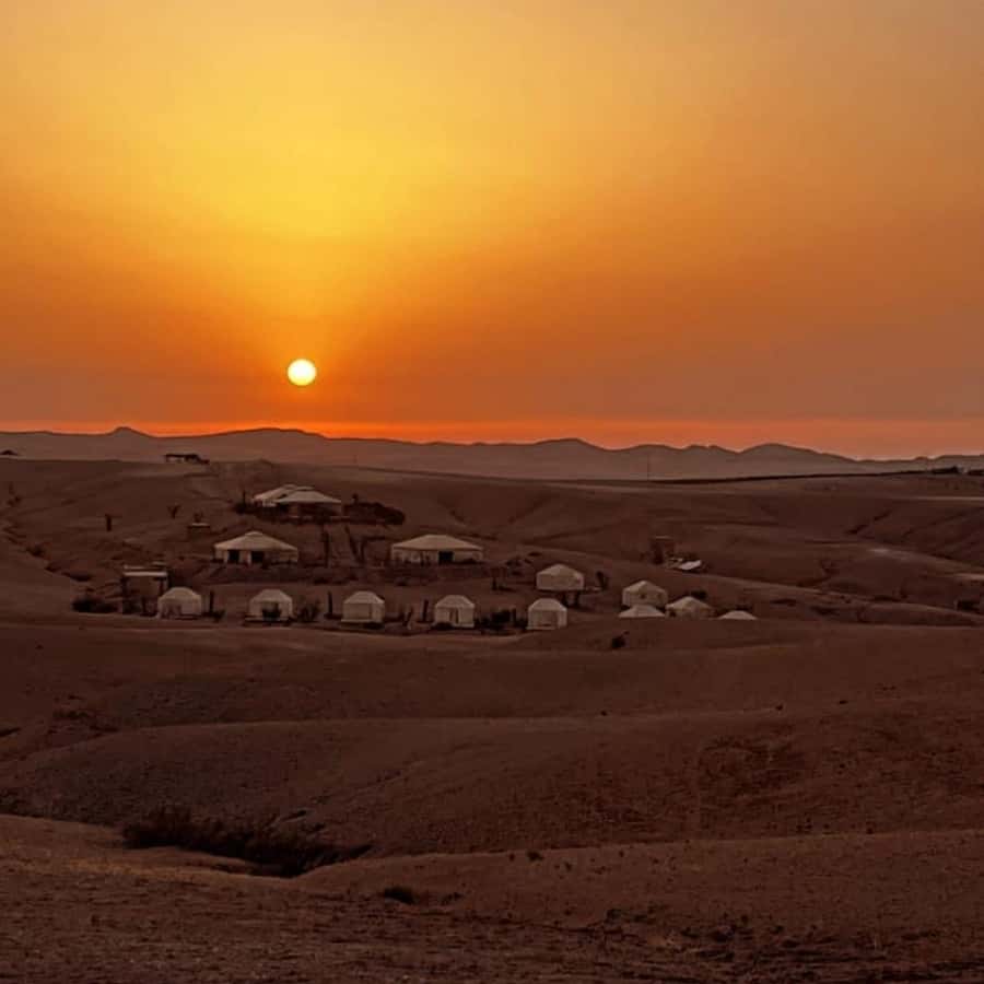 Unforgettable Desert Night: Dinner, Camel Ride & Quad Bike - Camel ride through the desert: a slower view with real feelings