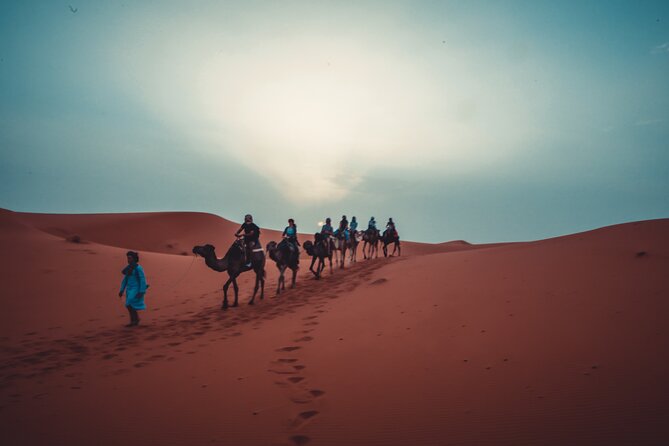 Unique Experience 3 Days Tour from Marrakech to Fes via Desert - Ifrane and Azrou cedar forest: a Swiss-style break from the dunes