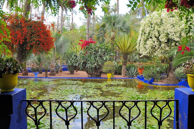 VIP tour Casablanca to Marrakech: Luxury Day of History & Culture - Souk Semmarine: shopping energy without losing your bearings