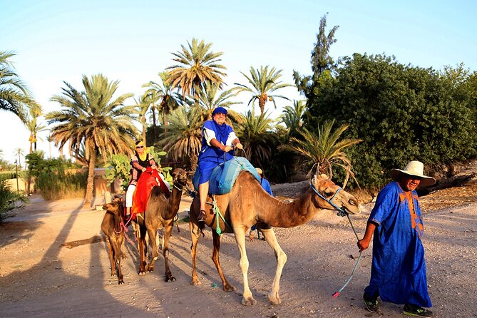 VIP tour Casablanca to Marrakech: Luxury Day of History & Culture - Jemaa el-Fnaa: the main square, and how to handle it